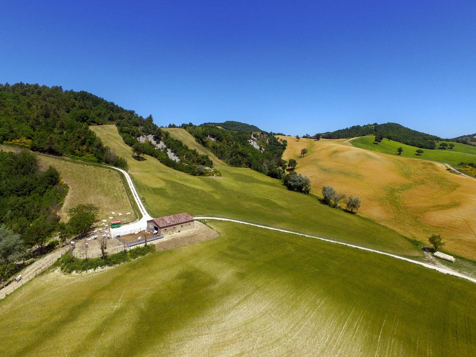 Fai un tour esperienziale del Poderetto